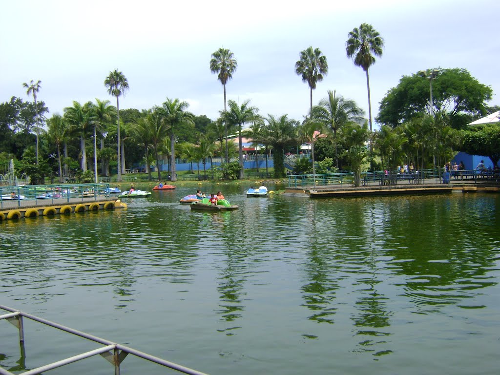 Palmeras del lago del Parque de Diversiones by LUIS PALMA