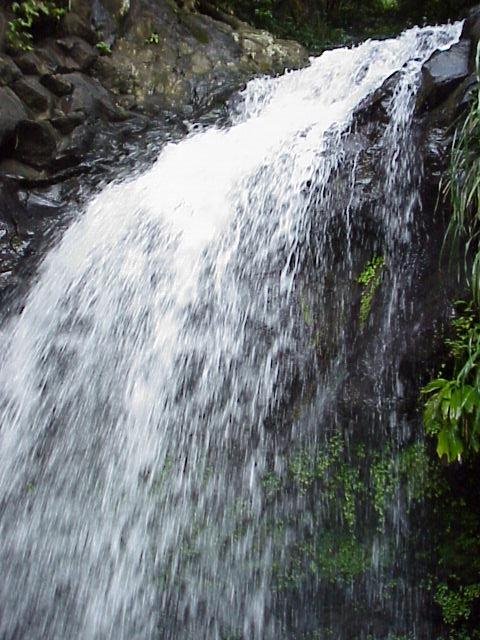 Annandale Falls, Grenada by rogerdp