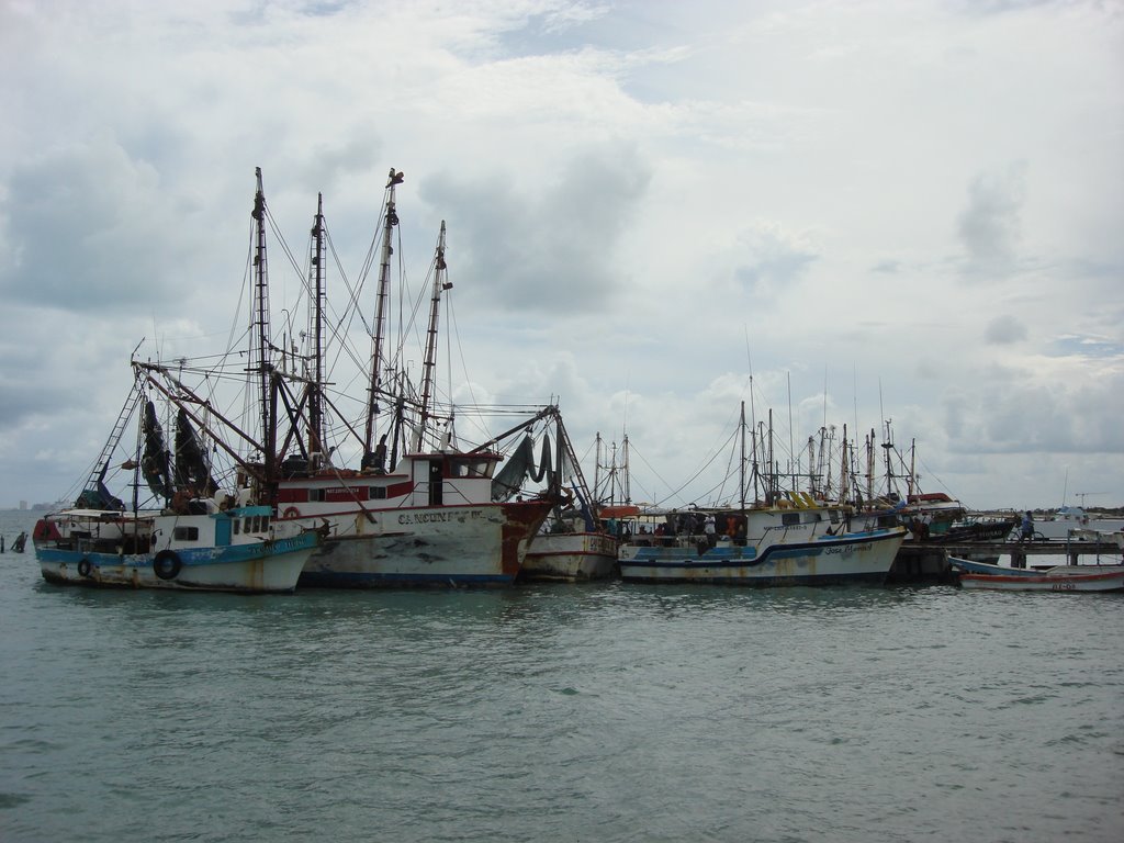 Puerto Juarez, Cancun by Durero