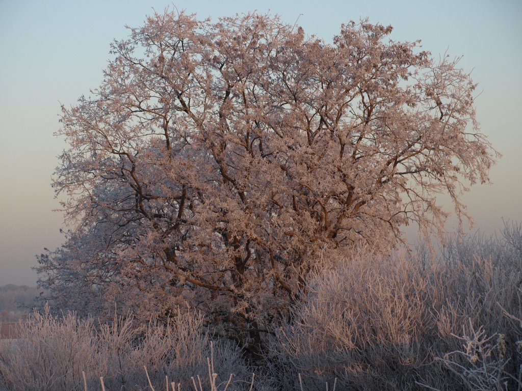 Winter in Sinnersdorf by StephanD