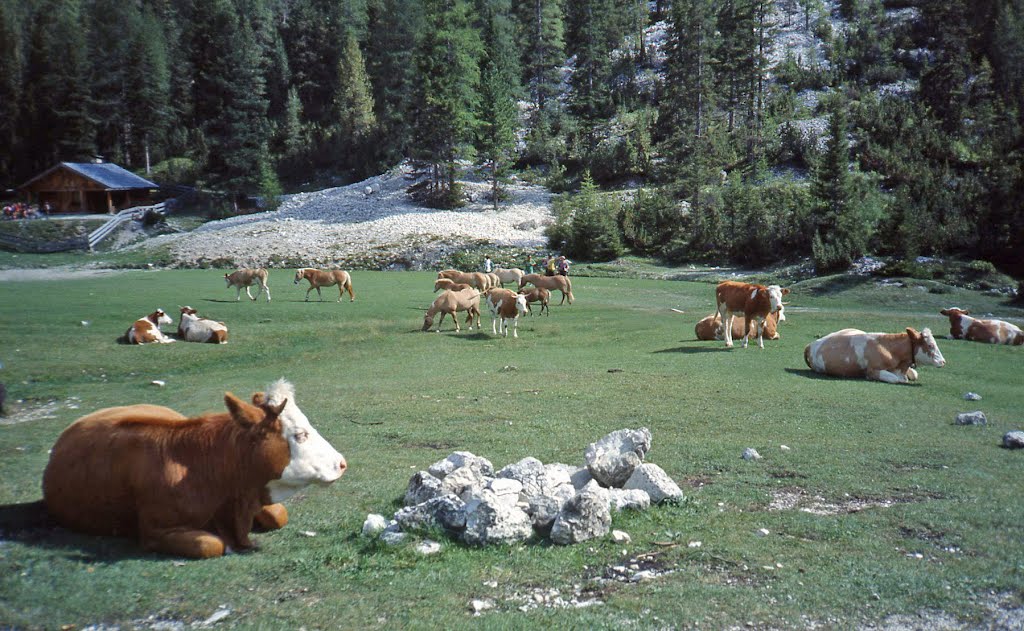 Selva di Val Gardena - Vallunga by alfiodor