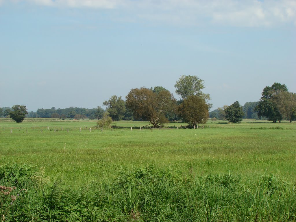 Ostwestfalen ( Rietberger Emsniederung ) September 2011 by DortmundWestfalica