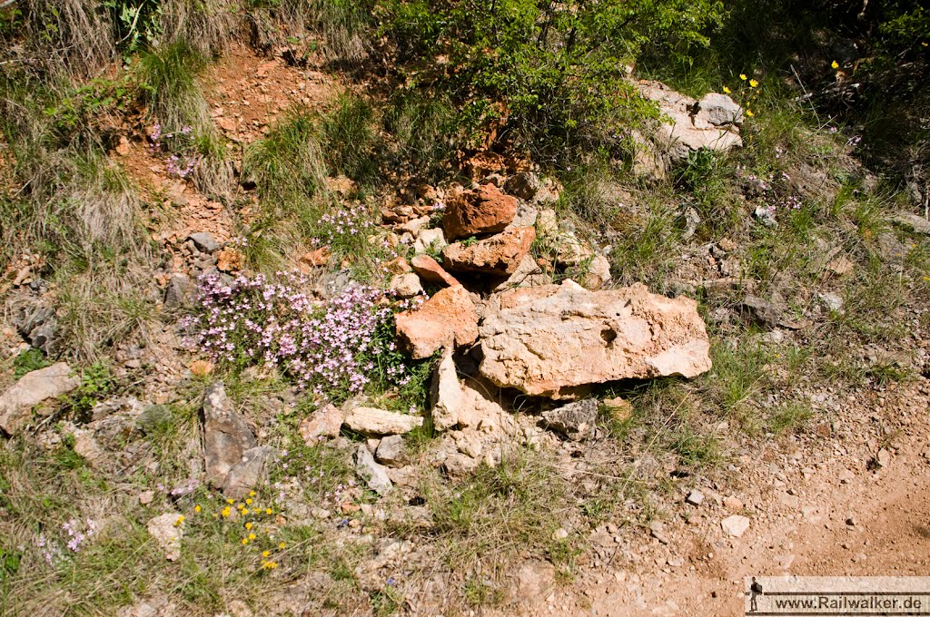 Löses Geröll das sich von den Felsen gelöst hat by Railwalker