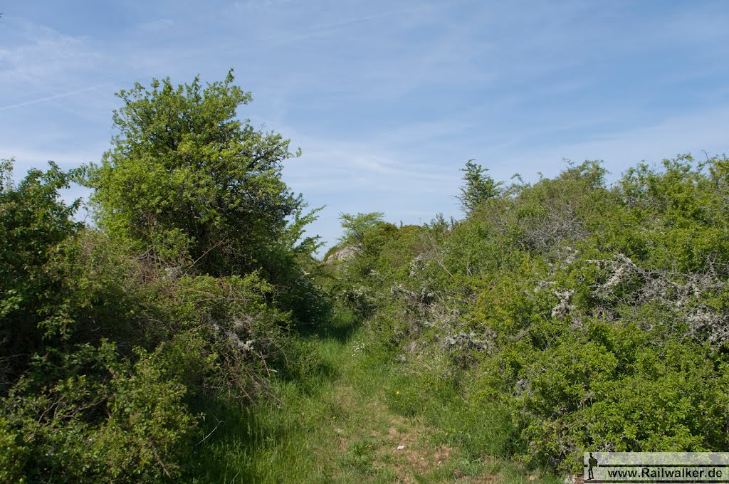 Vor dem Posten ist der Weg bereits sehr schmal by Railwalker