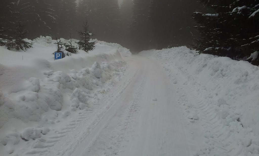 Waldweg "Zum Floßgraben" nahe der Gaststätte "Zum Wildschütz" by Der Plauener