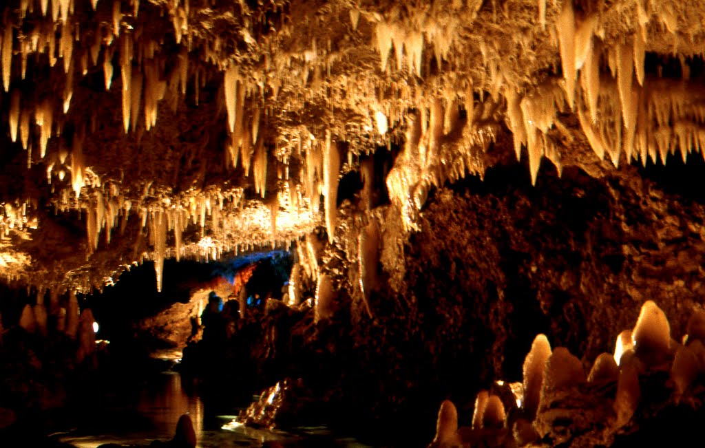 Barbados : Harrison Cave by Dominique Hazard