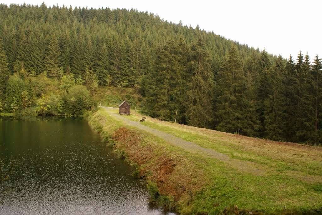 Unterer Schalker Teich (Harz) by Atheistin