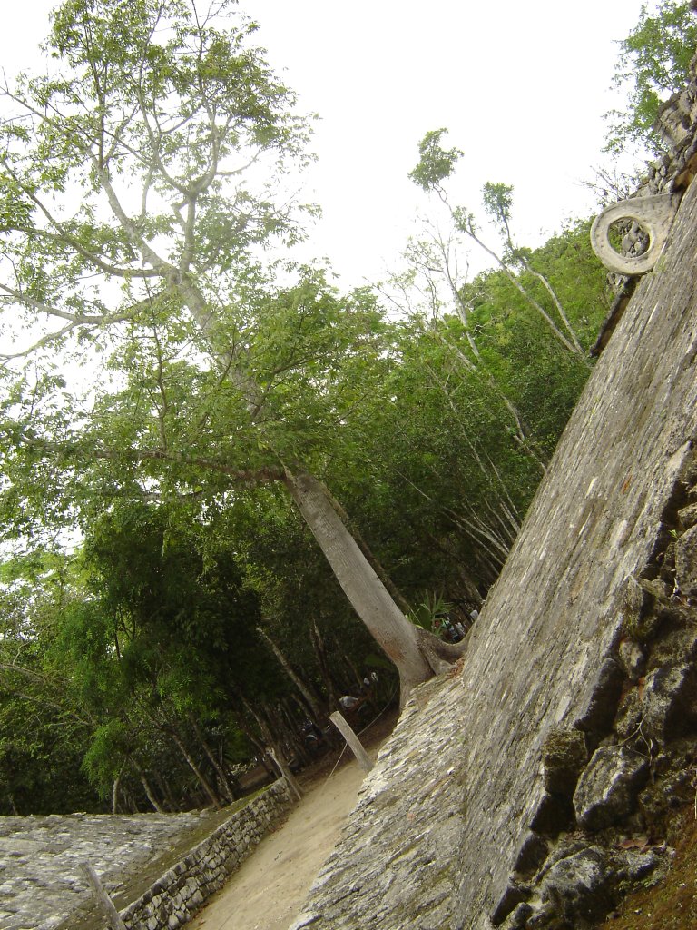 Ruinas Coba (Mexico) 2006 by mosta0