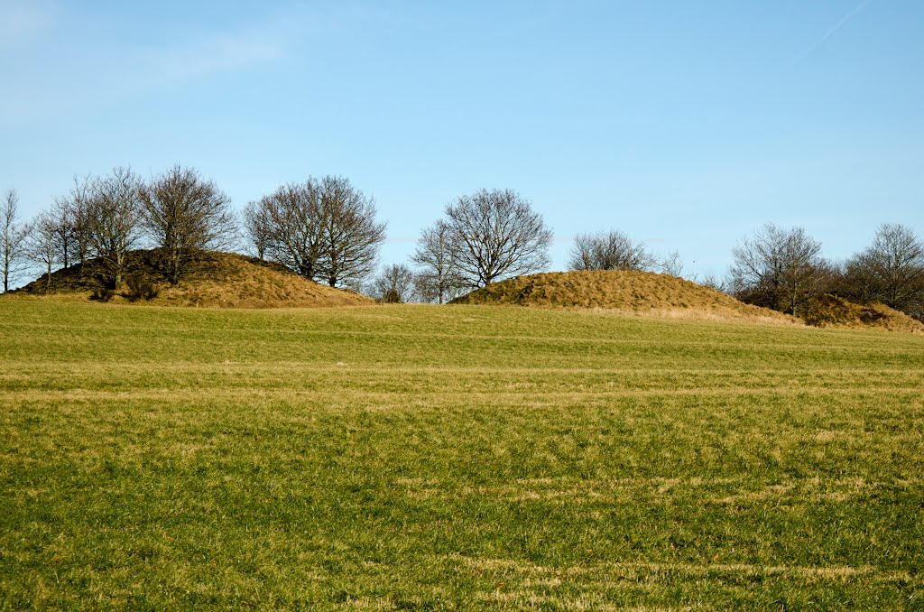 Gravhøje i Vedsted nær Vojens by Jens Klitgaard