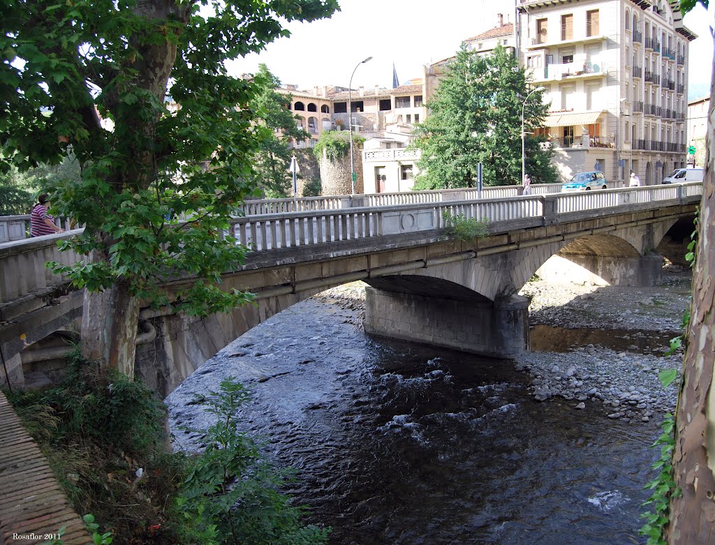 Ripoll; Puente del Arquet, sobre el rio Freser by Rosaflor