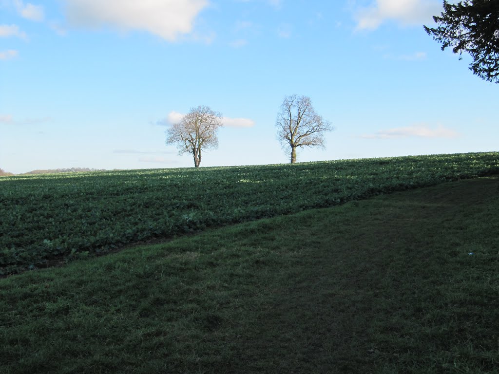 View over the fields, Ludlow by oldchippy