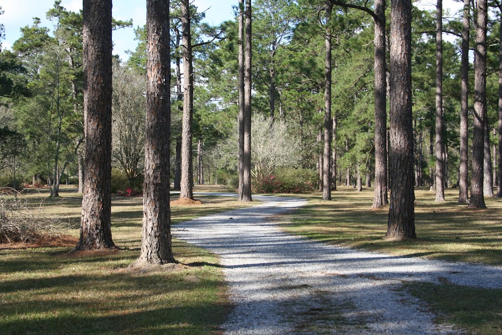 Main House Driveway by srpassler