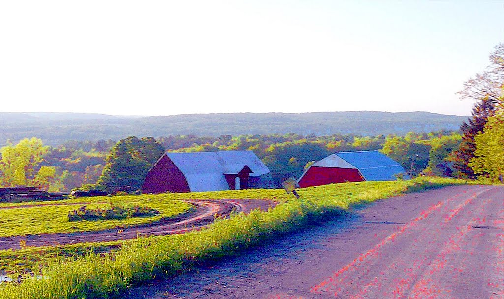 Barn rooftops by Geraldine Clark