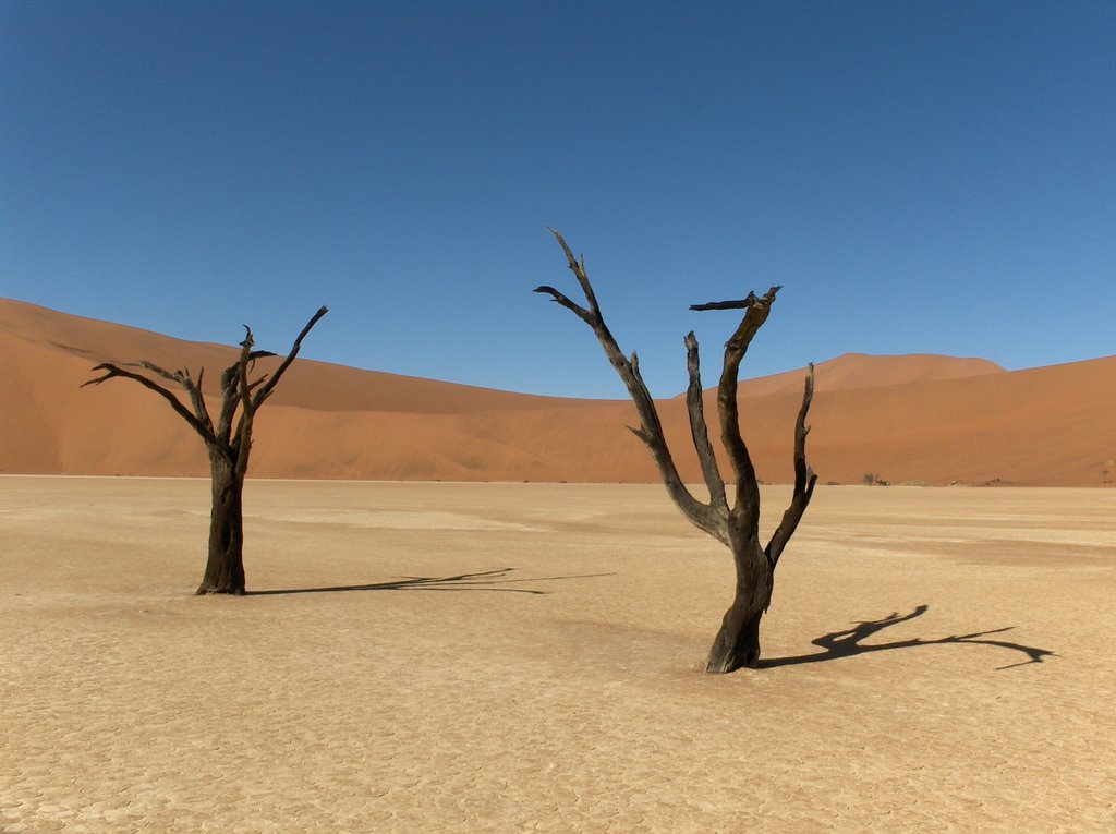 Deadvlei by Bas Geelen