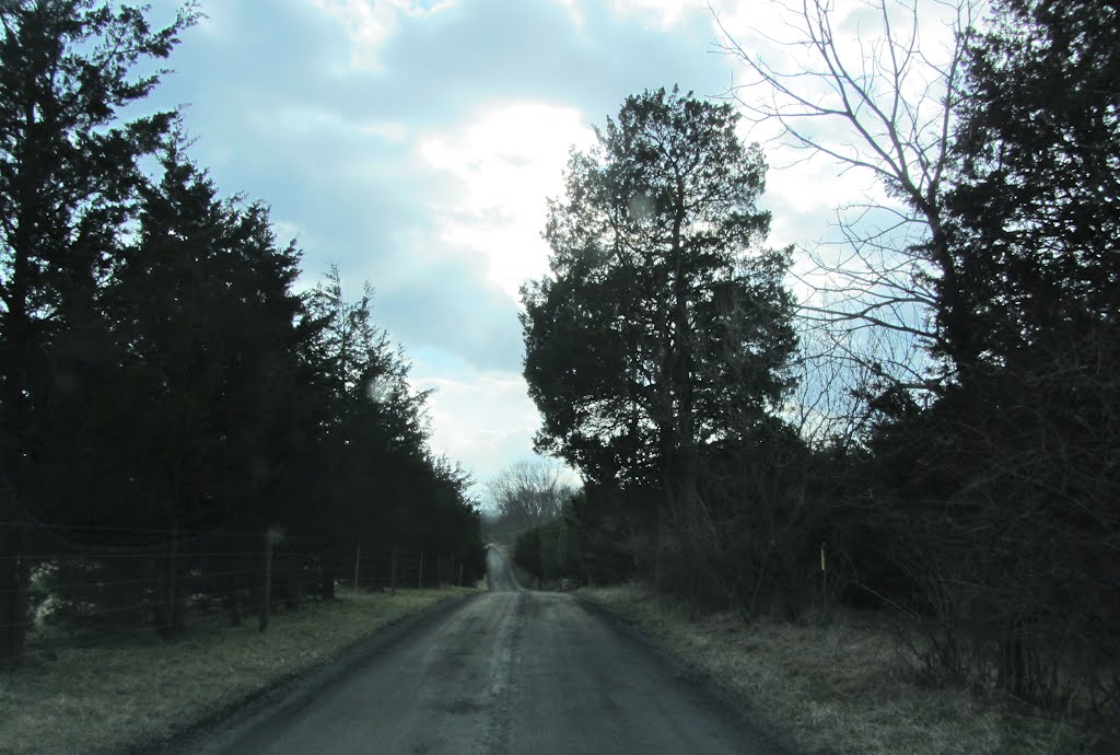 Stagecoach Road by Adam Elmquist