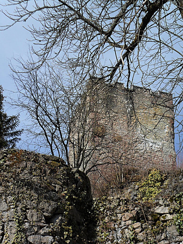 Hornberg - Schloß Hornberg - by Sehnwirmal