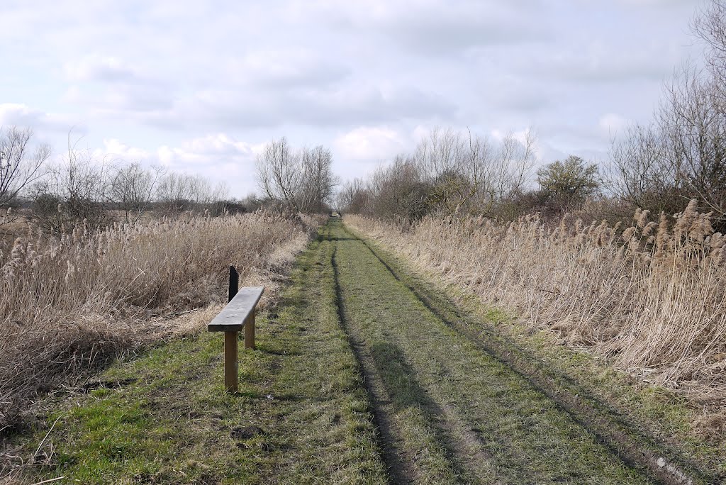 Harrisons drove wicken fen by terryg