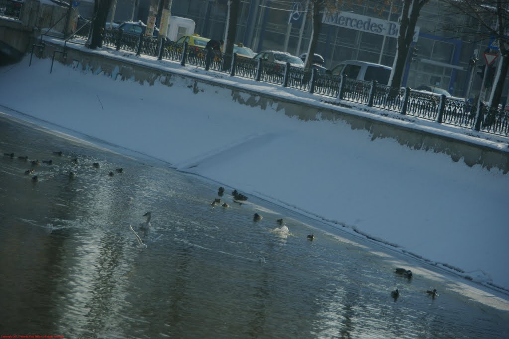 Cenuşăreasa by Vaivoda