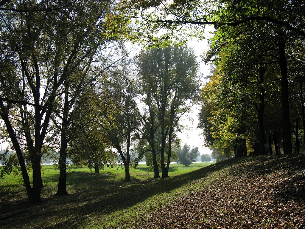 Köln-Riehl, Rheinwiesen (2008) by Wensky