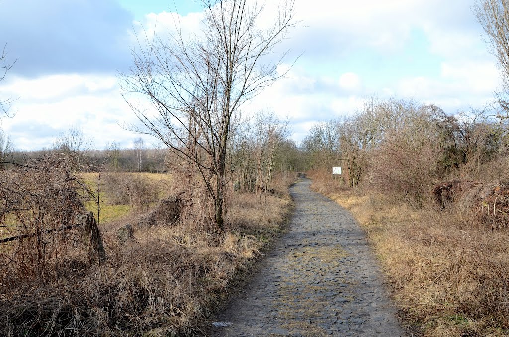 Schildower Weg by Oliver Nordt