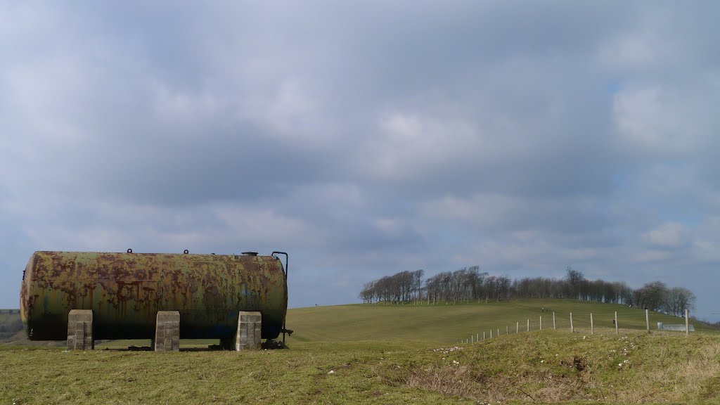 Chanctonbury Ring.. by shariain