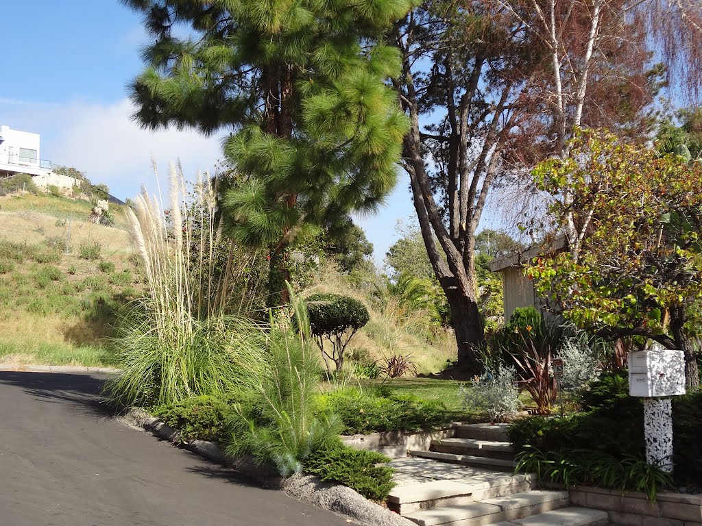 Marquez Knolls Hillside Landscape by Alan F Fogelquist