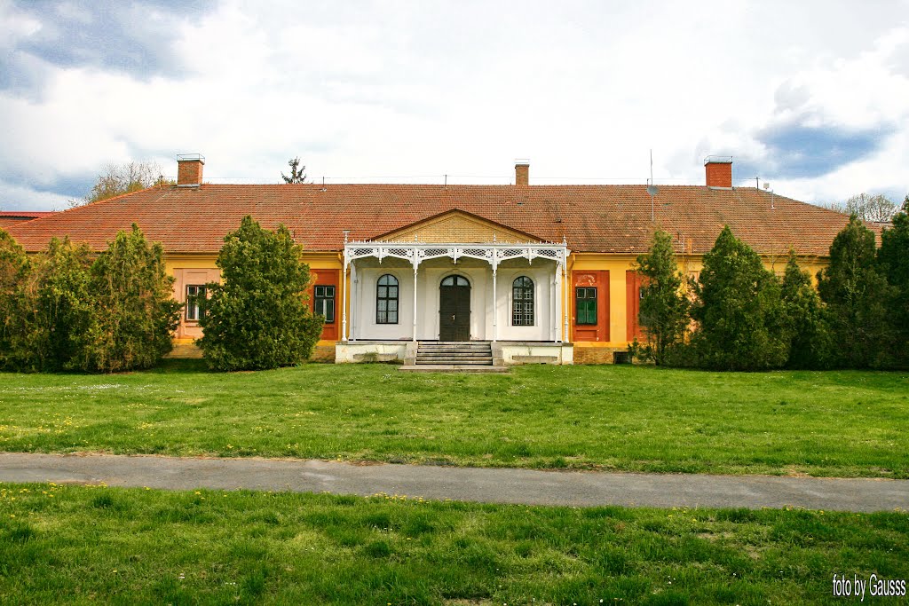 Kétegyháza, Hungary – Eredetileg Almásy-kastély (originally Almásy Castle). A kastélyt első földesura, Andrássy Zsigmond aradi alispán építette 1742-ben, és a kétegyházi uradalom központjává tette. A család kihalása után 1799-ben Almásy Ignác Temess megyei főispán alkancellár vásárolta meg a birtokkal együtt. 1858-ban leégett, 1858-1859-ben Ybl Miklós tervei alapján átépítették de hangulatában megmaradt klasszicista épületnek. Almásy László: a sivatag magyar kutatója, az igazi "angol beteg". by Gausss