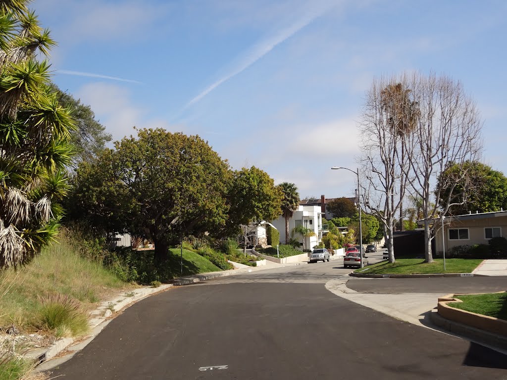 Marquez Knolls Hillside Landscape by Alan F Fogelquist