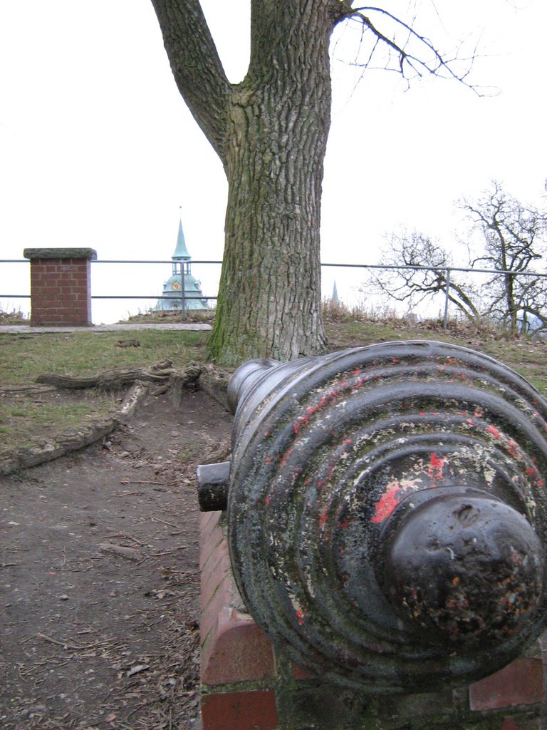 Cannon on the top of the Lueneburg hill by homayonifar