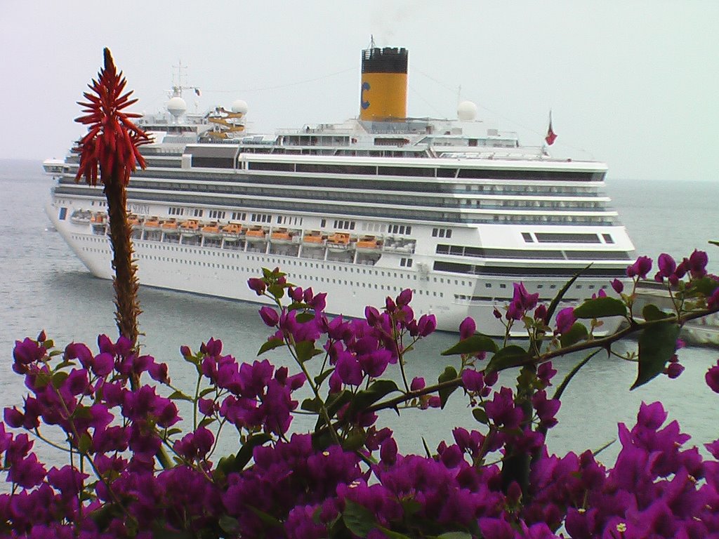 Costa Serena a Funchal by mikmazz