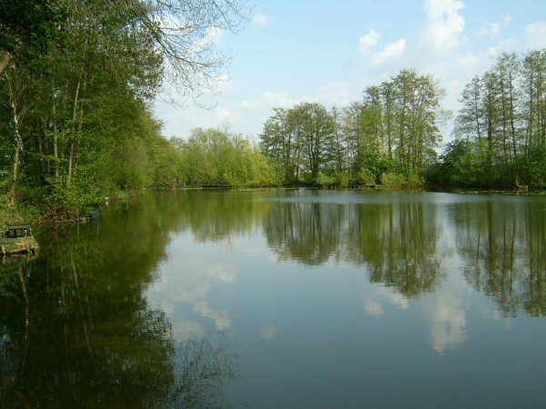 The "Tangkoel" near Hout-Blerick by rolandweyers