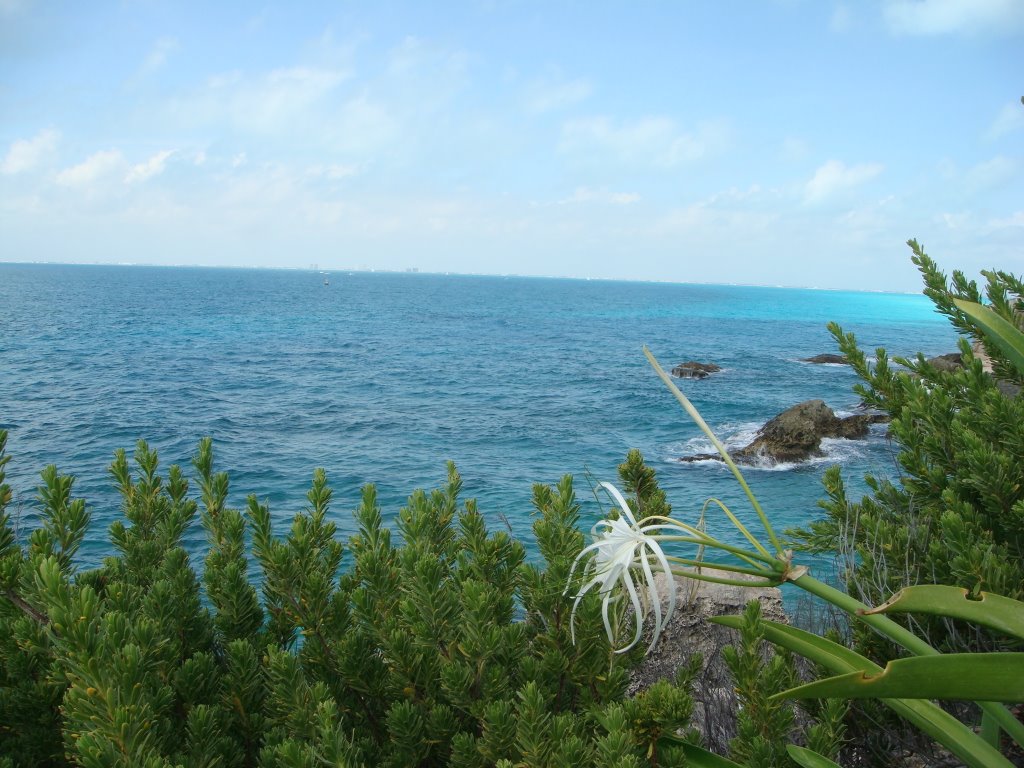 South end isla mujeres by Mark Ortega