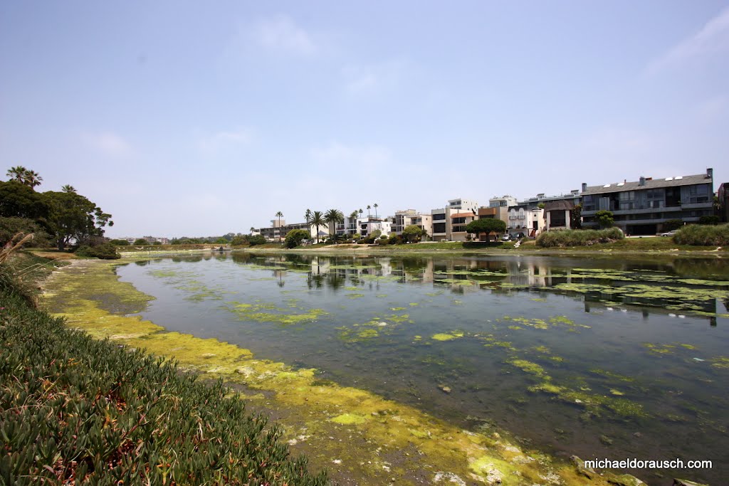 Playa del Rey Lagoon by chiropractic