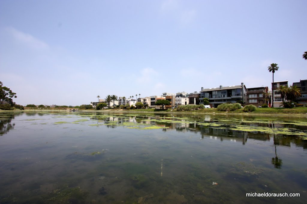 Homes on Playa del Rey Lagoon by chiropractic