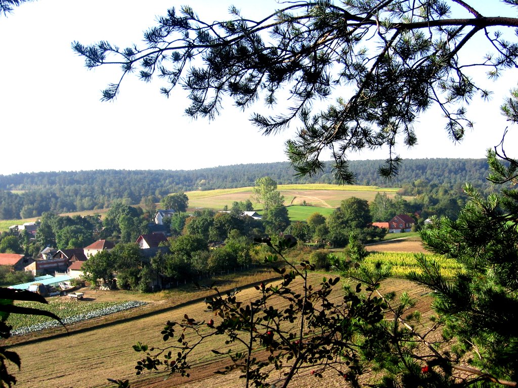 Widok na Wolę z "Podwala" , "Wowózek" by w kuszak