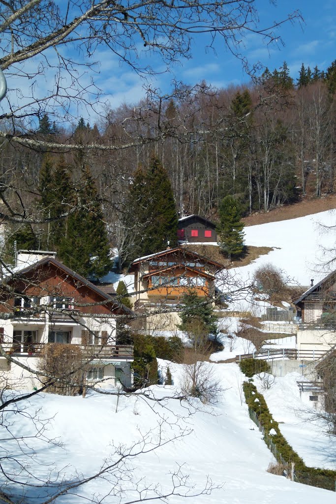 Saint-Cergue (VD) by Magda GHALI