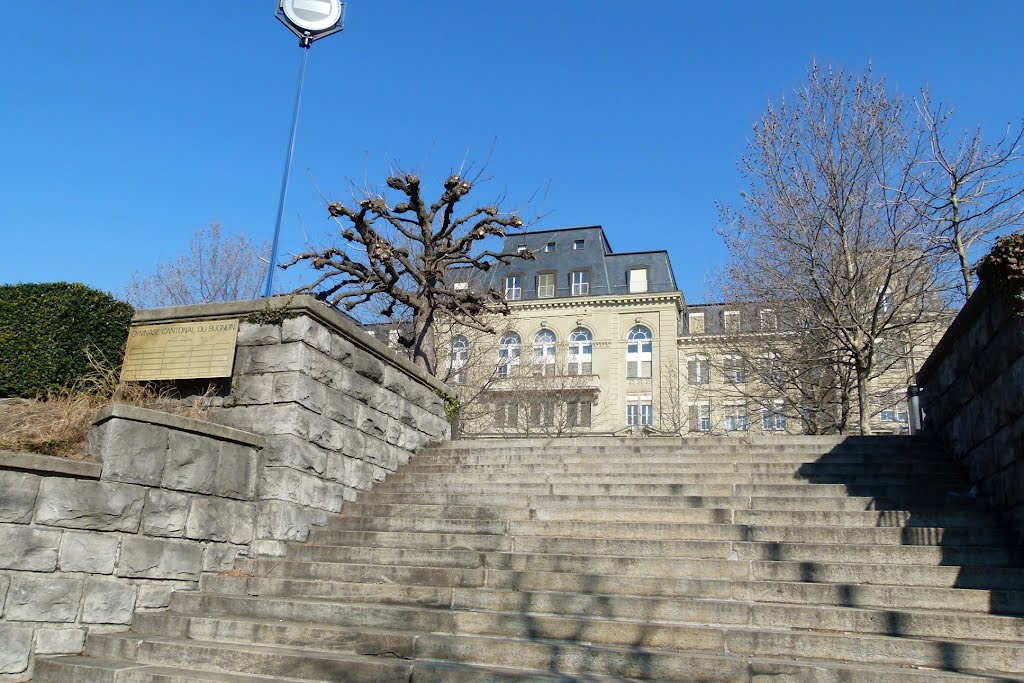 Gymnase cantonal du Bugnon, Lausanne by Magda GHALI