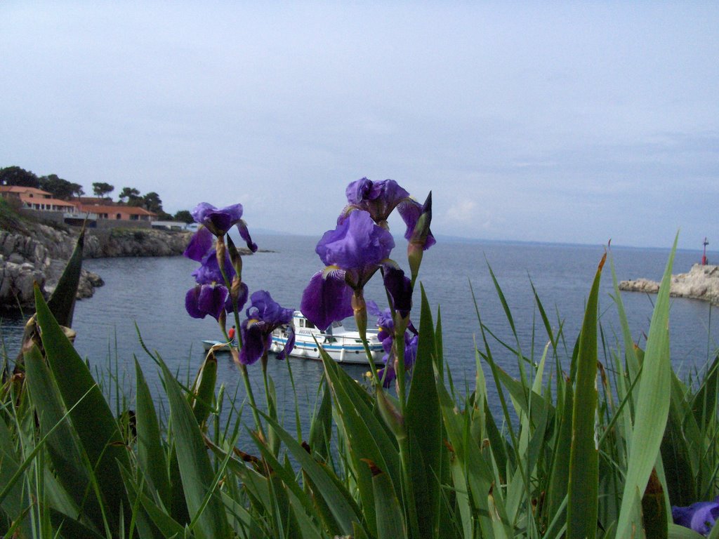 Veli Losinj - írisz és tenger by dukkon_agnes