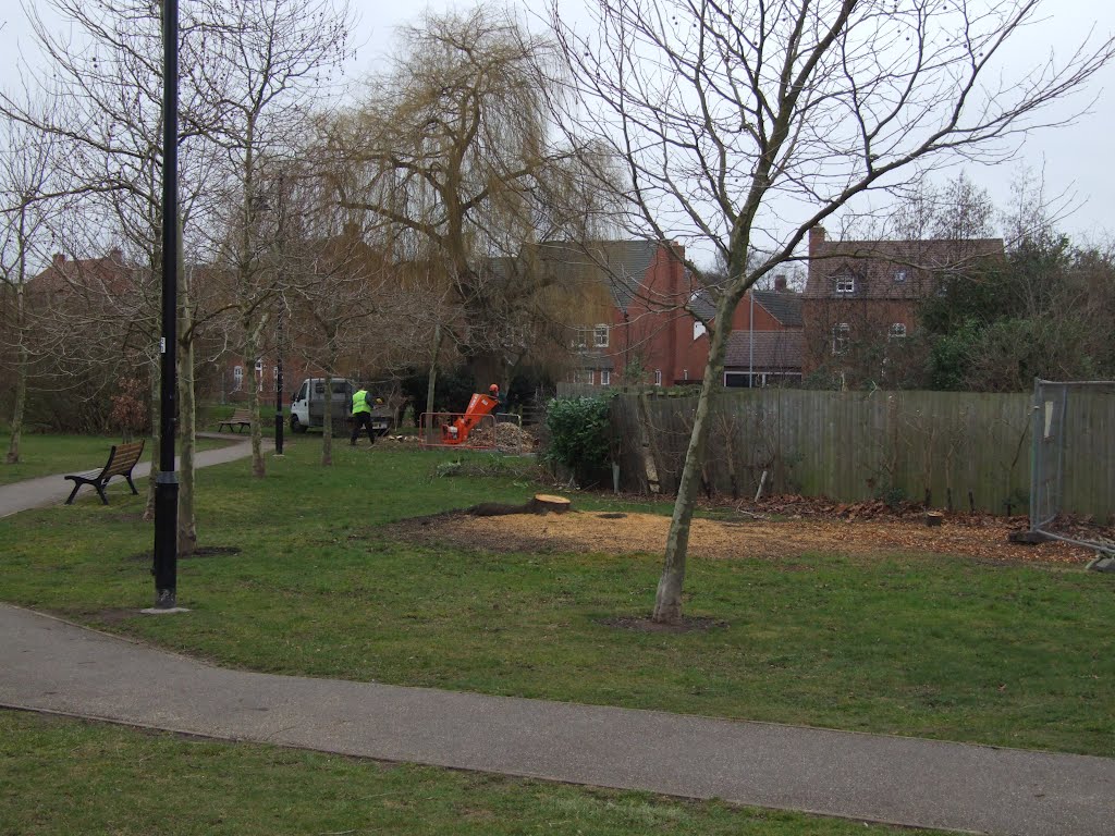 Tree clearing for new condiut for Trunkfield Brook by Phil Beecher