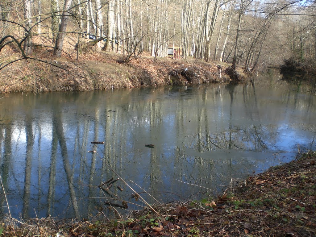 ESTAMPA HELADA DEL RIO EN INVIERNO-OLOT by ferran planella