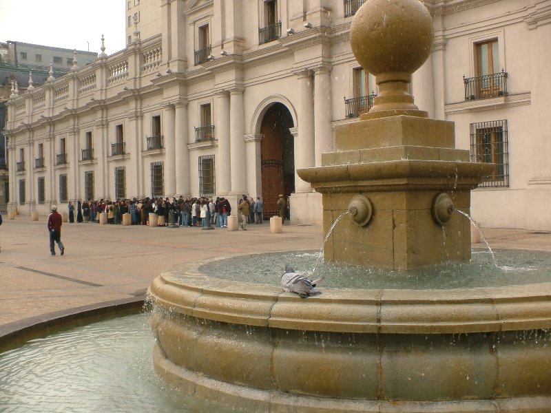 Paloma desnuda tomando un baño, La Moneda, Santiago, Chile by D'Jackerick