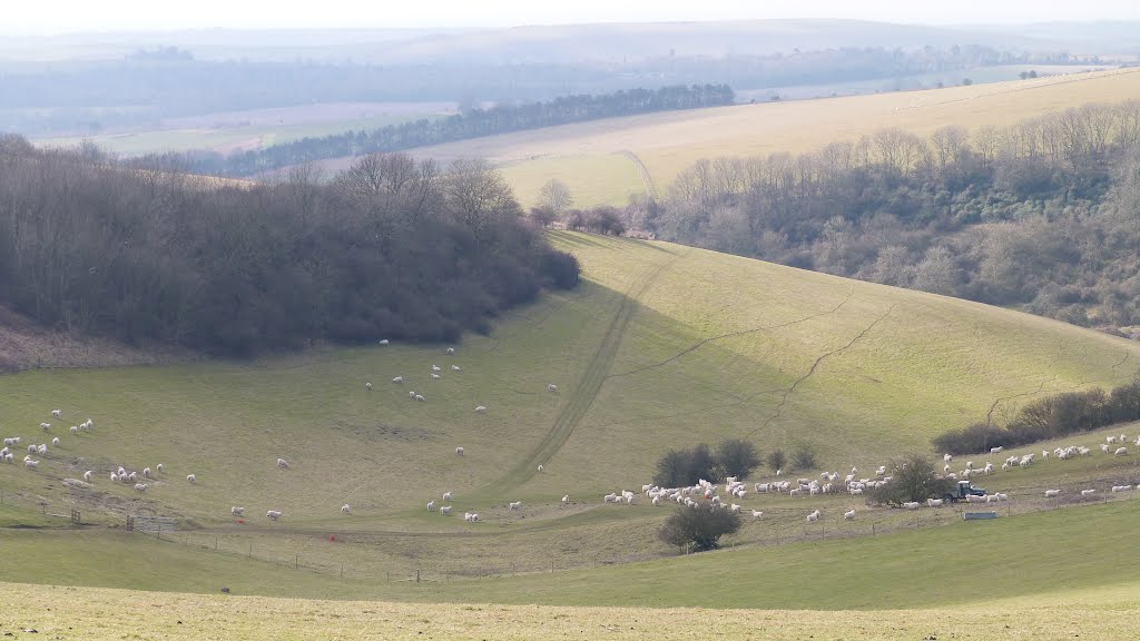 From Chanctonbury Ring... by shariain