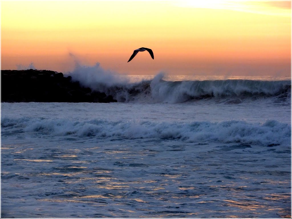 FIM DE TARDE ESPINHO by ManueldaCosta