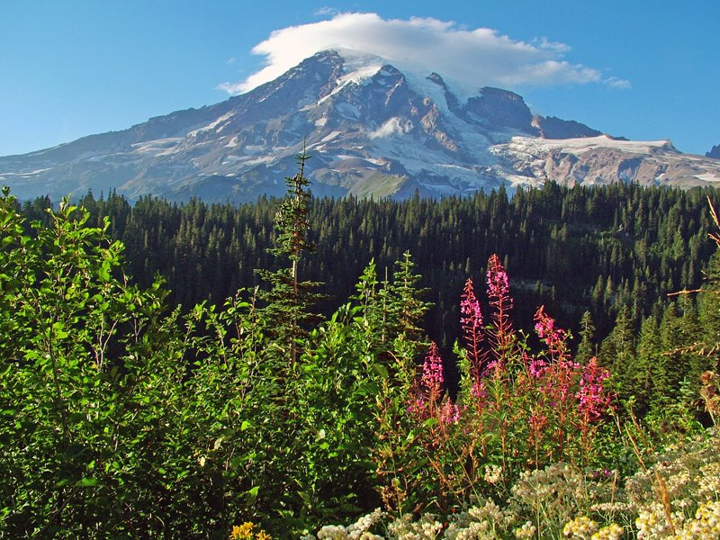 Mount Rainier by Steve Schmorleitz, NationalParkLover.com