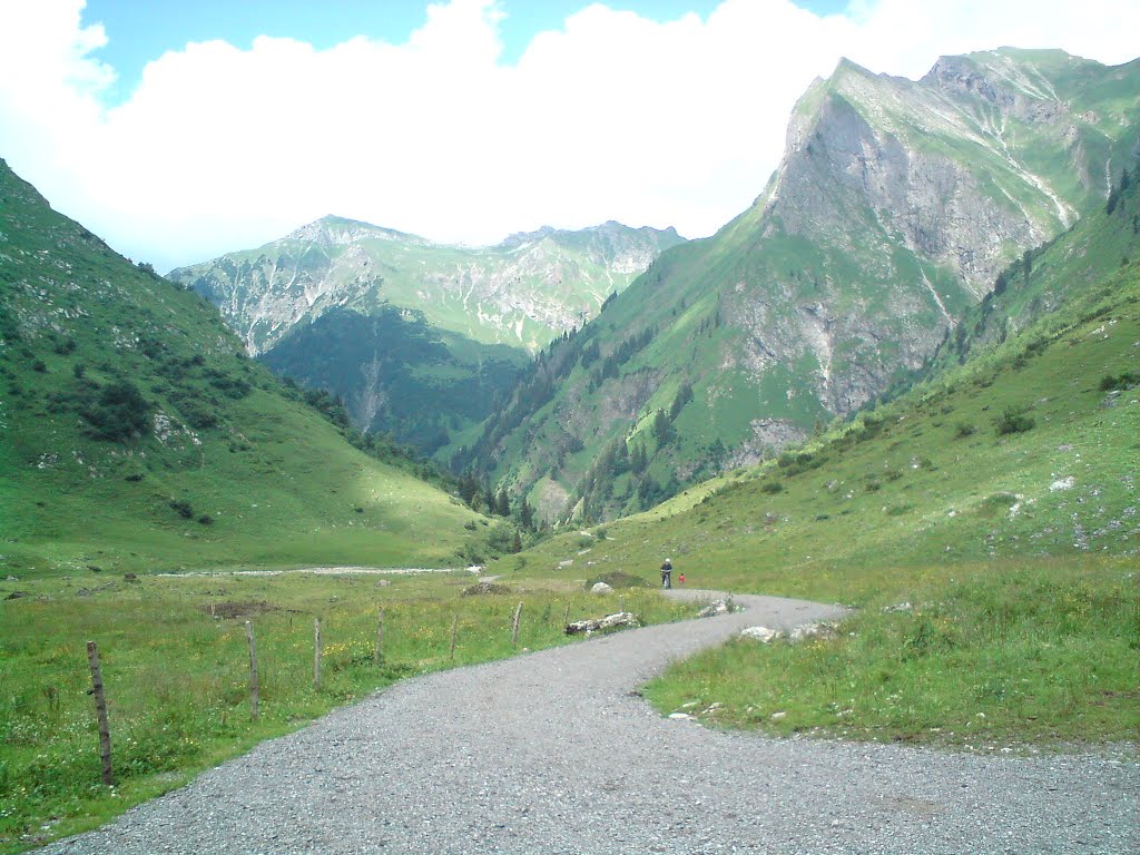 Blick Richtung Oberstdorf by Neuhütten