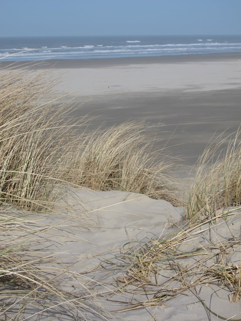 Ter Schelling duinen & zee by Martijn Burgler