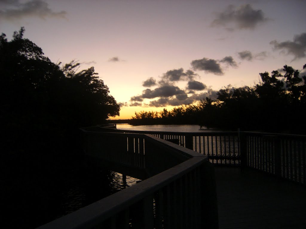 Holland Park Boardwalk by Umbral