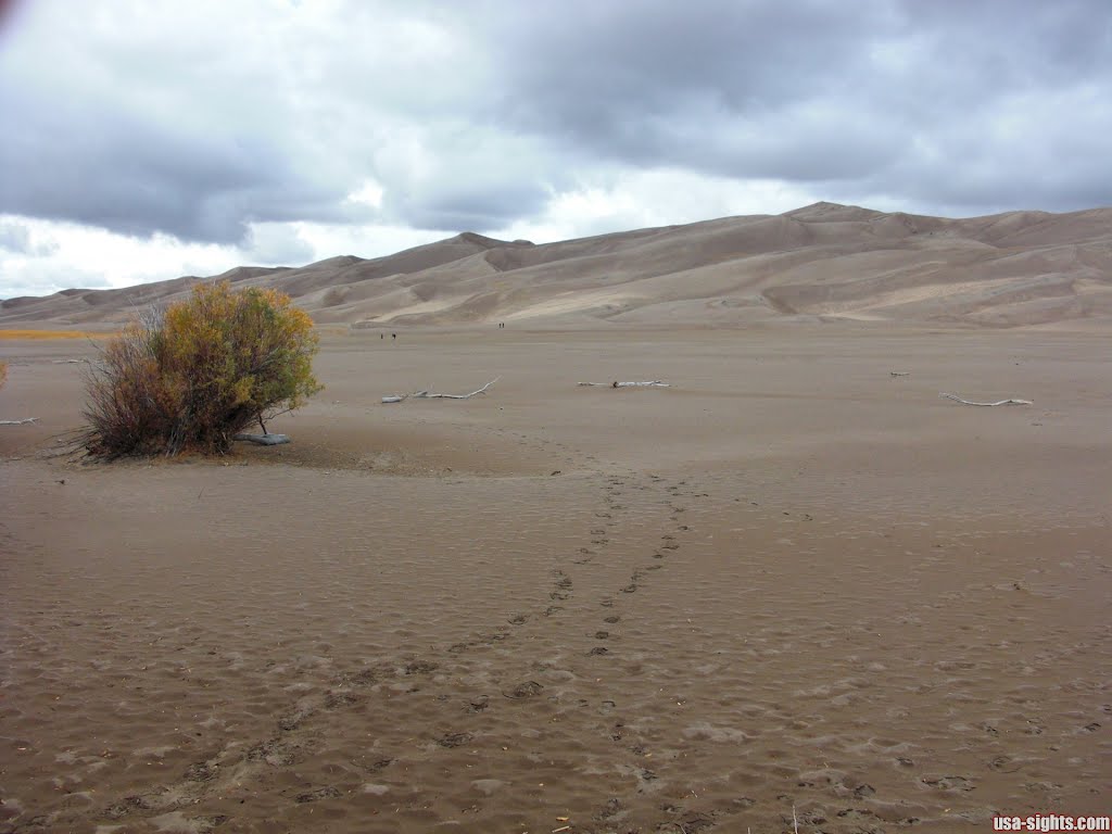 Great-Sand-Dunes-Nationalpark by usa-sights.com