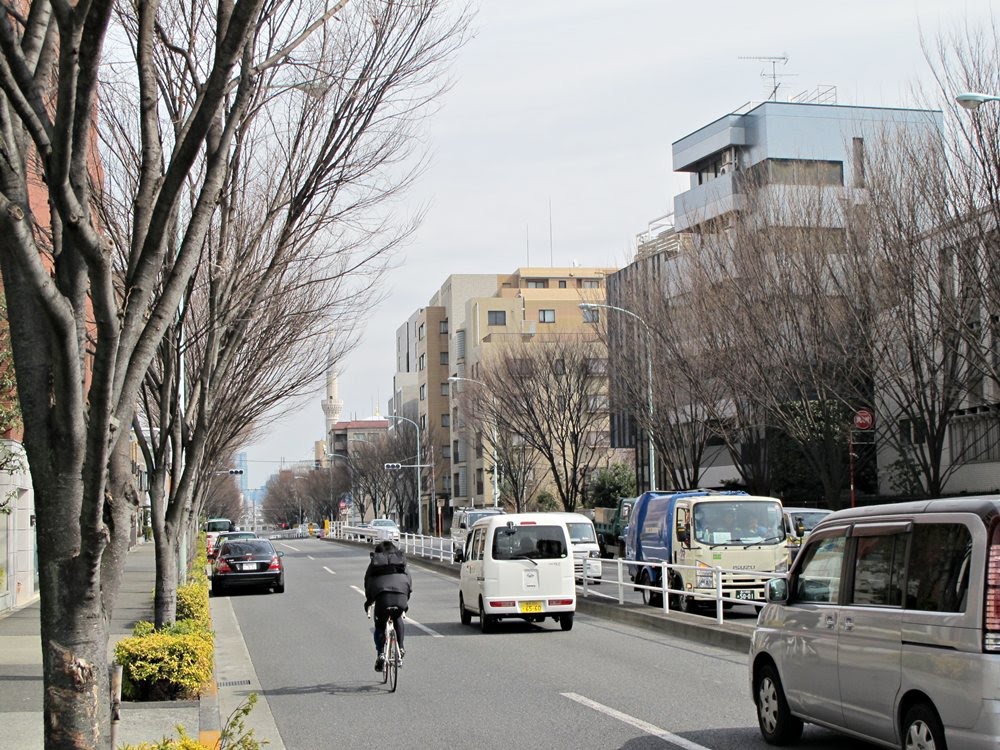 日本、東京。NHẬT BẢN, Tokyo. by Đăng Định