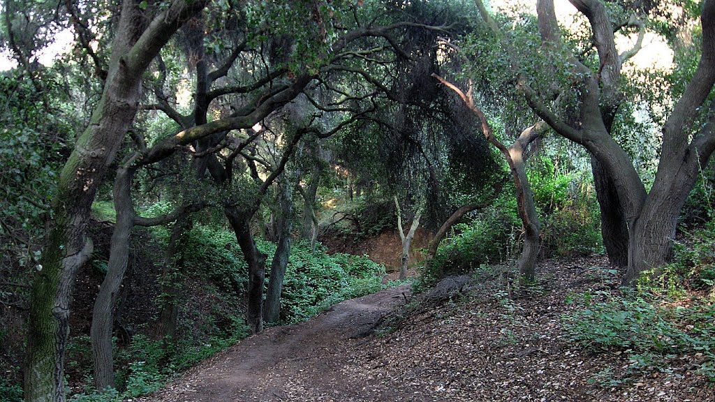 MARSHALL CANYON TRAIL by kemplo